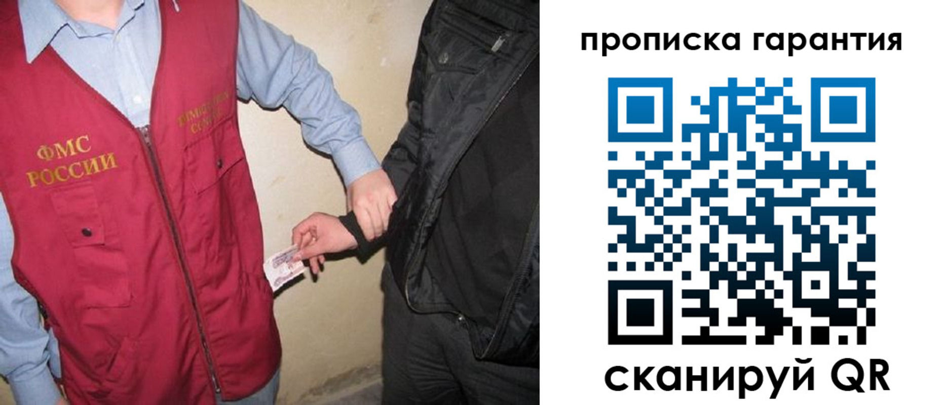 прописка для школы в Светлом